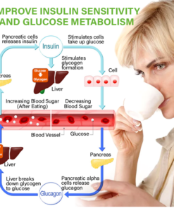 FLYCARE™ SugarFirm Botanical Blood Sugar Tea