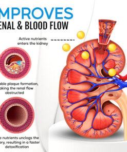 Healthlux™ Kidney Boost & Care Inhaler