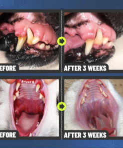 Hudros™ Teeth Cleaning Spray for Dogs & Cats