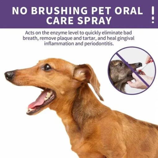 Hudros™ Teeth Cleaning Spray for Dogs & Cats