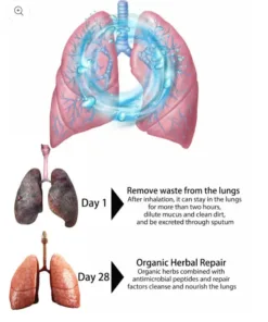 LOVILDS™ Organic Herbal Lung Cleanse Repair Nasal Spray