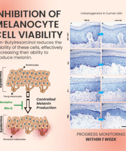 Melasma Lightening Serum