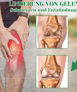 Ceoerty™ Wermut-Knie-Schmerzpflaster