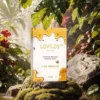 LOVILDS™ Bee Lymphatic Drainage Slimming Patch