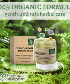 Wild Chickweed Herbal Salve