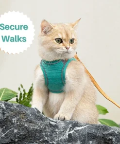 FurryLead™ Cat Harness And Leash Set