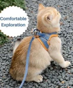 FurryLead™ Cat Harness And Leash Set