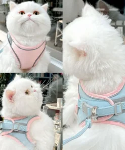 FurryLead™ Cat Harness And Leash Set