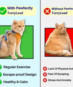 FurryLead™ Cat Harness And Leash Set