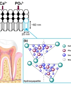 DOCTIA™ TeethRestoration Mineralpulver