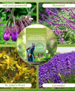 Traditional Secret Formula Organic Herbal Patch