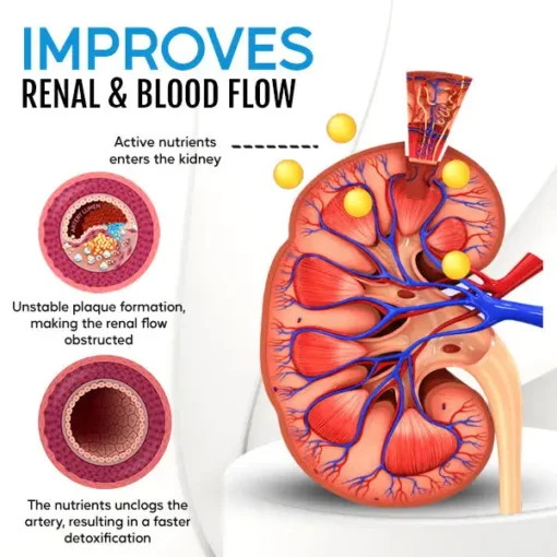 Healthlux™ Kidney Boost & Care Inhaler - Image 4